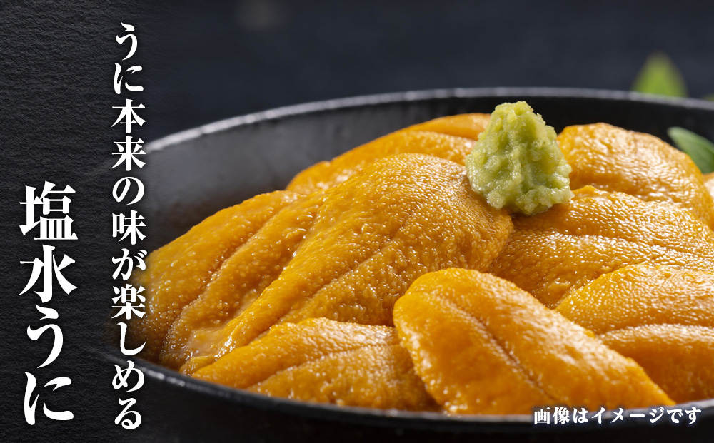 2026年発送 先行受付 ウニ本来の味が楽しめる【白老産】塩水ムラサキウニ 100g×2パック