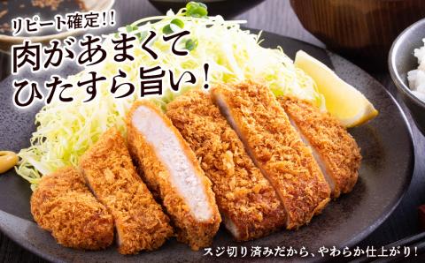 【定期便 6カ月】北海道産 白老豚 ロース とんかつ用 100g×12枚 BV047