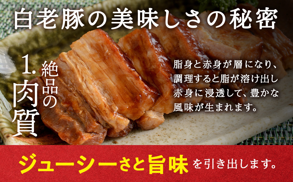 北海道産 白老豚 バラ ブロック 500g×5パック 豚 豚肉 白老 北海道 焼肉 BV079