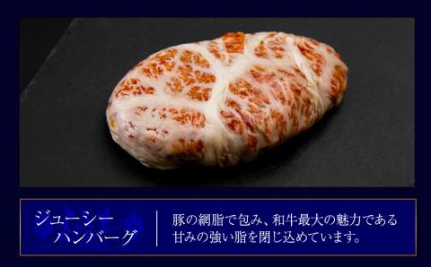 定期便6カ月 お楽しみ 白老牛 2種 食べ比べ ハンバーグ セット 合計10個 モッツァレラ ベーコン 網脂 特製ソース 手造り BY107