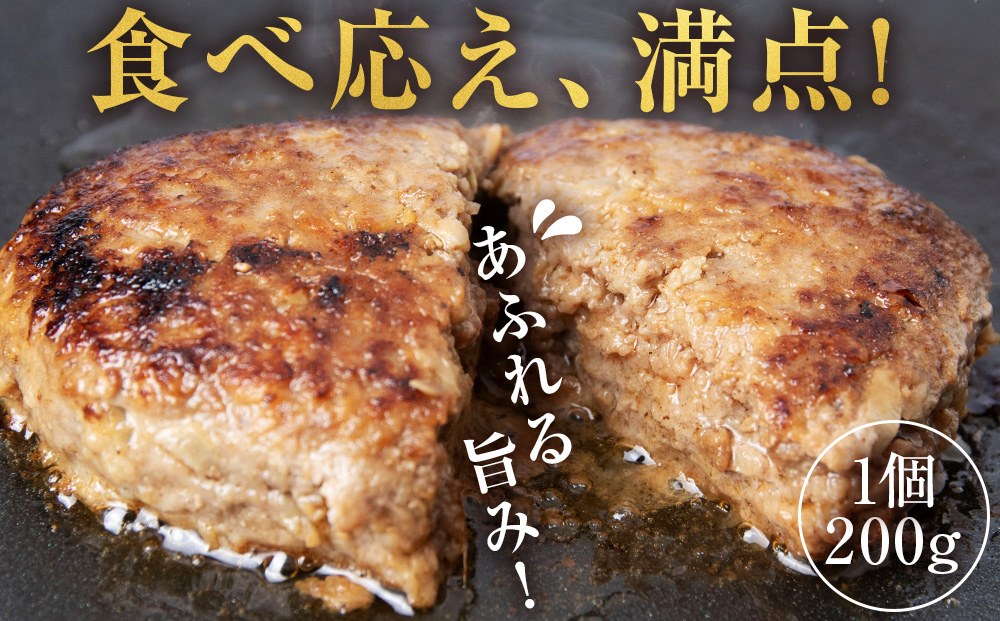 【12月20日決済確定分まで年内発送】白老牛 スタンダード ハンバーグ セット 5個 （網脂なし） 特製ソース 冷凍 牛肉 肉 白老 BY121