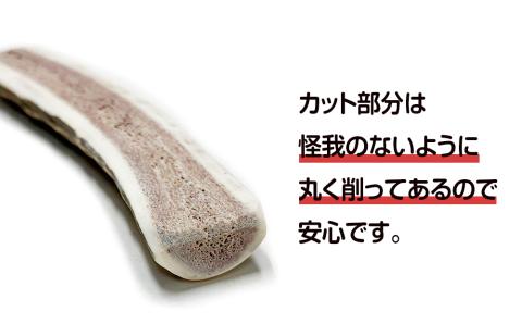 【12月20日決済確定分まで年内発送】鹿の角 エゾシカ 犬のおもちゃ 『鹿角さん』 小型犬用　半割り　1本