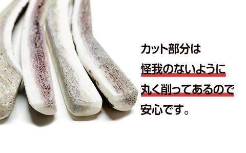 【12月20日決済確定分まで年内発送】鹿の角 エゾシカ 犬のおもちゃ 『鹿角さん』 小型犬用　四つ割りロング　1本