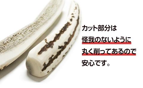 【12月20日決済確定分まで年内発送】鹿の角 エゾシカ 犬のおもちゃ 『鹿角さん』 中型犬用　四つ割り　2本セット