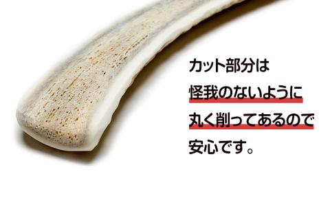 【12月20日決済確定分まで年内発送】鹿の角 エゾシカ 犬のおもちゃ 『鹿角さん』 中型犬用　半割り　2本セット