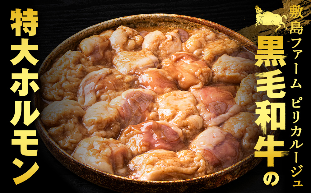 【12月20日決済確定分まで年内発送】白老産黒毛和牛 味噌焼肉用MIXホルモン 2.4kg (400g×6パック)  7日営業日以内発送 焼肉 黒毛和牛 小分け 焼肉セット ホルモン ミックスホルモン 人気 数量限定 たっぷり大満足 グルメ 訳あり 国産 北海道産 CK012