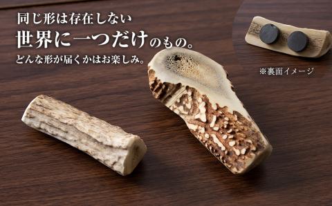 【12月20日決済確定分まで年内発送】エゾシカ 角 マグネット 冷蔵庫 鹿角 かわいい おしゃれ インテリア 磁石