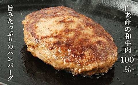 【12月20日決済確定分まで年内発送】白老産 黒毛和牛ハンバーグ
