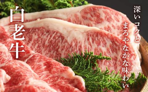 【12月20日決済確定分まで年内発送】白老牛ステーキ・すき焼き(竹)
