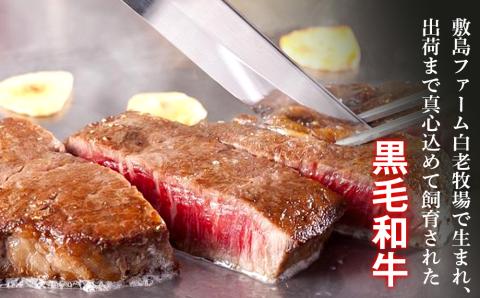 【12月20日決済確定分まで年内発送】白老和牛ステーキ・すきしゃぶセット（B）《敷島ファーム》