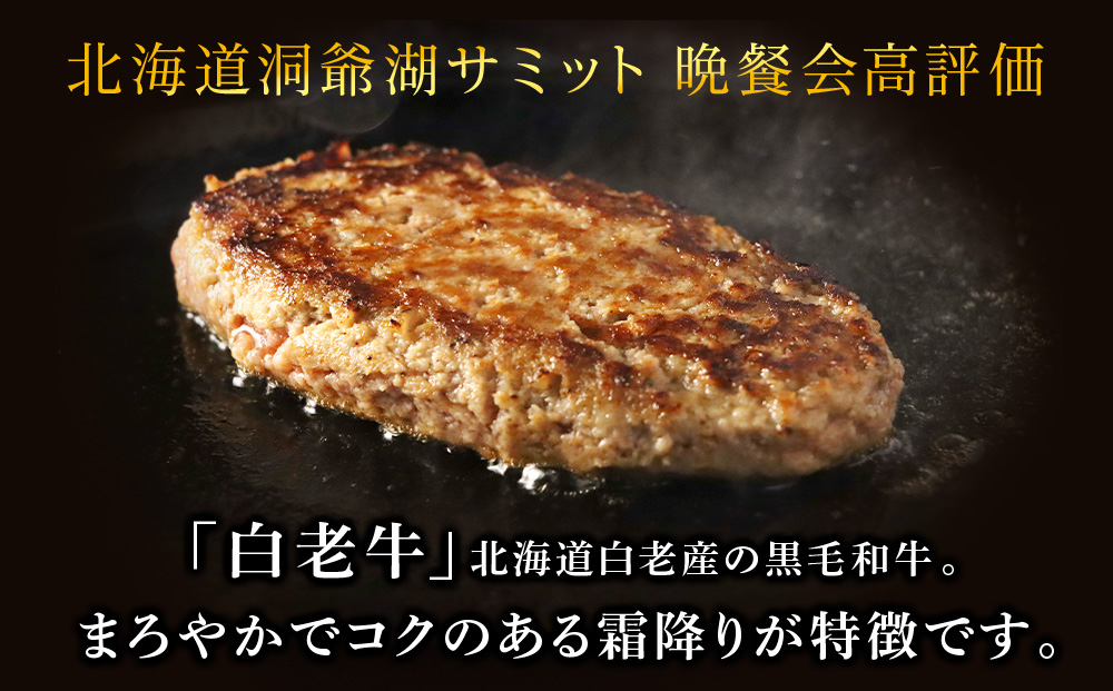 【12月20日決済確定分まで年内発送】牛の里ビーフハンバーグ（110g×8個）特製ソース（8袋）の詰合せ AG050