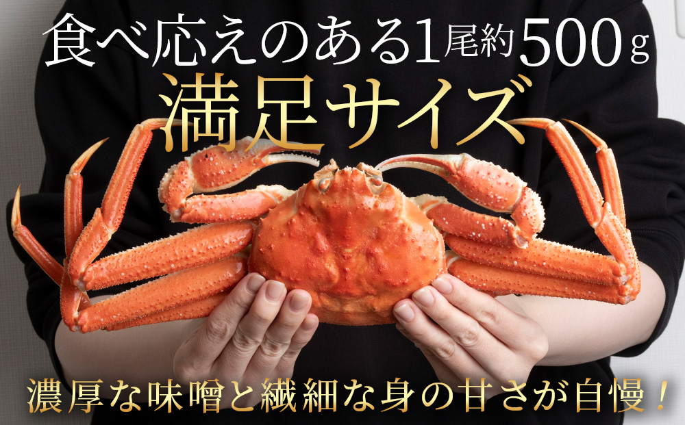 大ズワイガニ姿600ｇ～750ｇ×1尾＜超特大＞AM188