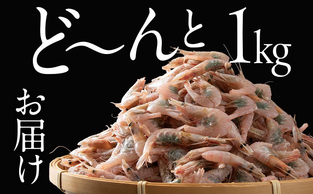 北海道産 白老加工 南蛮えび1kg＜斉藤水産＞ AM199