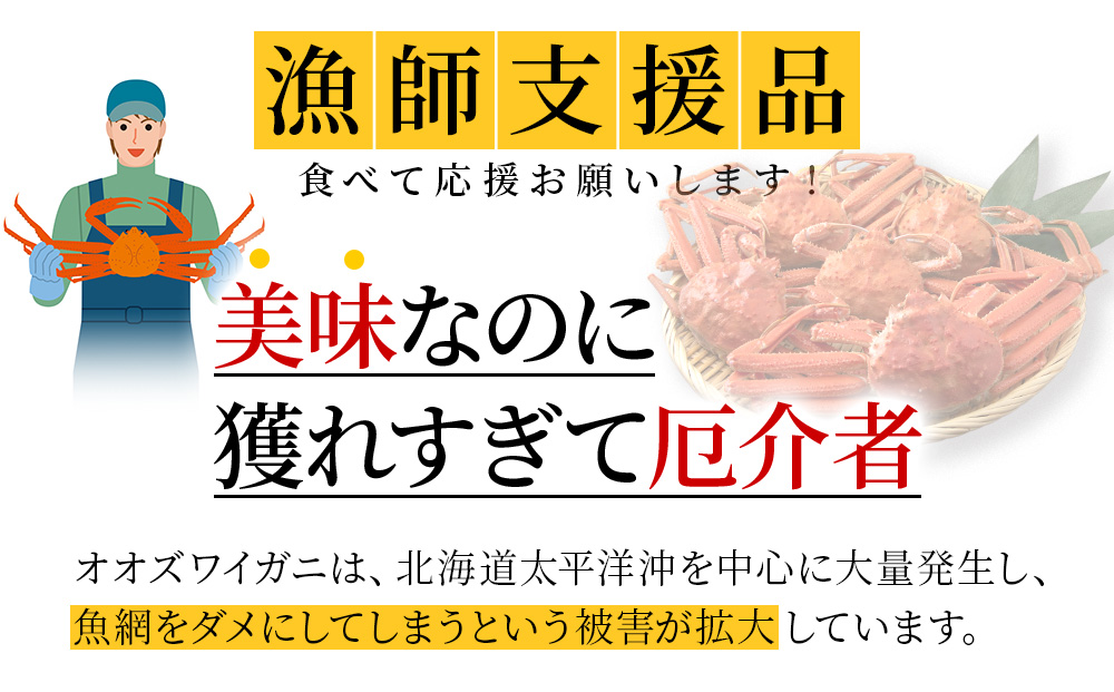 【7営業日以内発送】訳あり オオズワイガニメス (約150-350g前後) 浜ゆで 2kg (5～9尾入) AS226