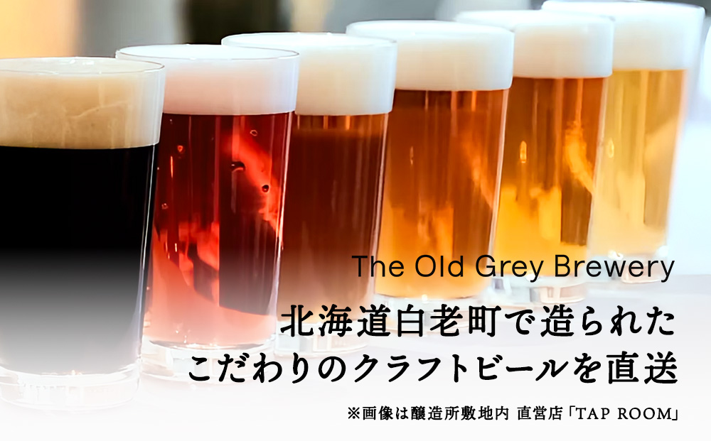 【白老町のクラフトビール】「樽前スチーム」（計24本）《The Old Grey Brewery》