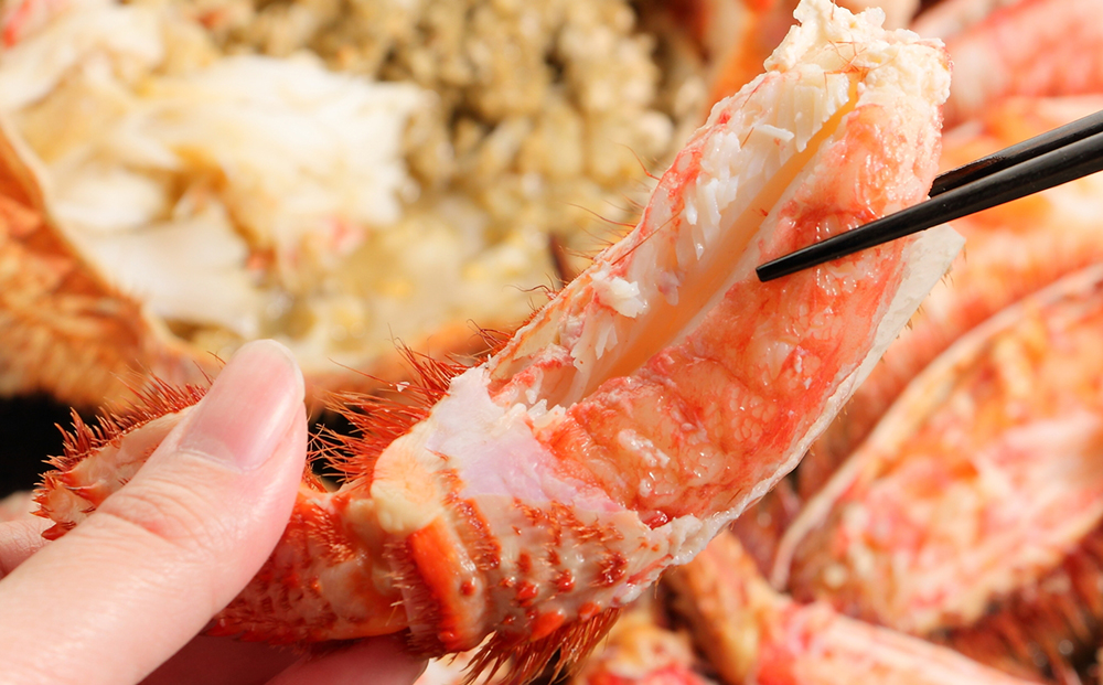 【12月23日決済確定分まで年内発送】特特大サイズ！冷凍毛がに約1kg×1尾【斉藤水産】 AM150