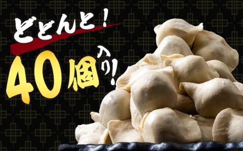 【12月20日決済確定分まで年内発送】だぶだぶの肉汁をすすりたくなる餃子 40個（20個入×2パック）