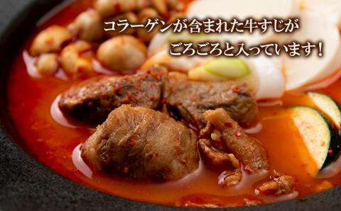 定期便 3カ月 スンドゥブ 食べ比べ セット 合計4パック （ 牛もつ ・ 牛すじ ） 韓国料理