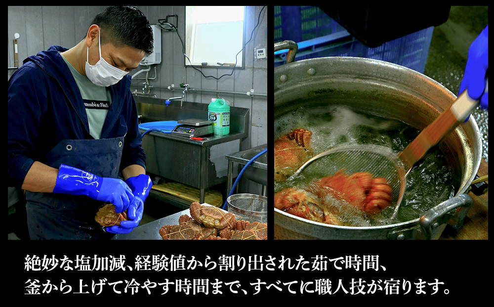 【12月20日決済確定分まで年内発送】訳あり ズワイガニ 姿 ボイル済み 冷凍 1尾セット 約800g BM338