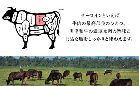 【12月20日決済確定分まで年内発送】北海道 白老産 黒毛和牛 サーロイン ステーキ 200ｇ×2枚