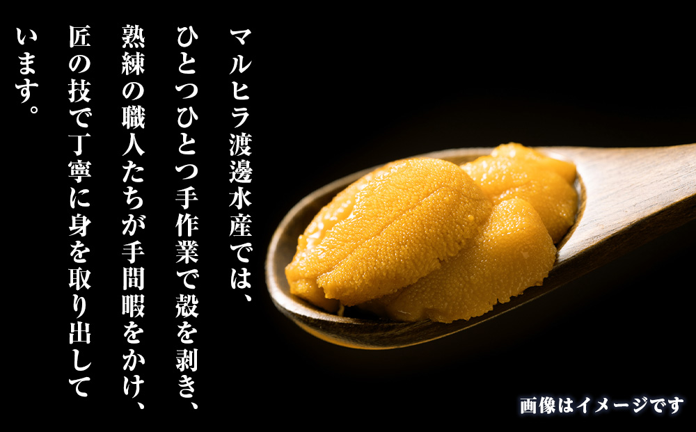 2026年発送 先行受付 ウニ本来の味が楽しめる【白老産】塩水ムラサキウニ 100g×1パック