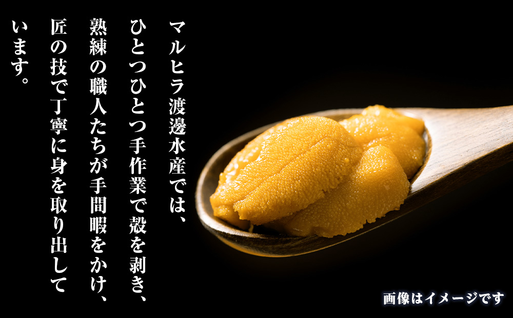 2026年発送 先行受付 ウニ本来の味が楽しめる【白老産】塩水ムラサキウニ 100g×2パック