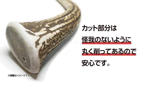 【12月20日決済確定分まで年内発送】鹿の角 エゾシカ 犬のおもちゃ 『鹿角さん』 大型犬用　けんか角タイプ　１本 CB038