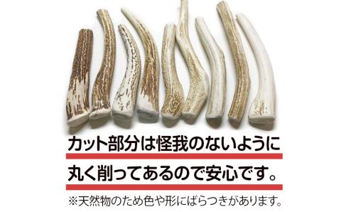 【12月20日決済確定分まで年内発送】鹿の角 エゾシカ 犬のおもちゃ 『鹿角さん』 中型犬用 割っていないタイプ 2本 CB041