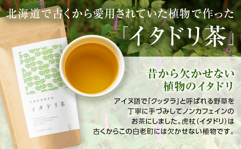 【12月20日決済確定分まで年内発送】森の茶屋 イタドリ茶&エント茶 ノンカフェイン 健康茶 お茶 ナチュラルアイランド CH401