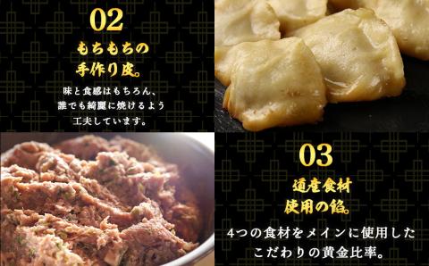 【12月20日決済確定分まで年内発送】だぶだぶな肉汁をすすりたくなる餃子ちぃーず40個入（20個入×2パック） ぎょうざ 冷凍 ギョウザ おつまみ おかず 中華 惣菜 チーズ BE009