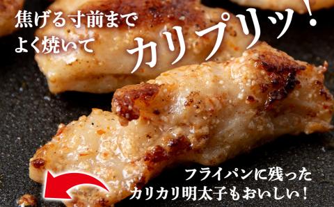 【12月8日決済確定分まで年内発送】明太子入り 味付けホルモン 250g  10パック＜肉の山本＞ 北海道 豚肉 焼肉　CD008