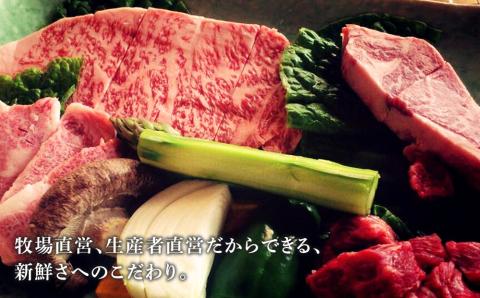 【12月20日決済確定分まで年内発送】お食事券 北海道 天野ファミリーファーム (3000円分)【牧場直営・炭火焼肉レストラン】