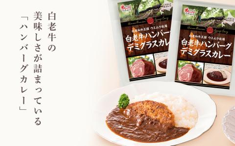 【12月20日決済確定分まで年内発送】＜ウエムラ牧場＞白老牛ハンバーグカレー・シチューセット