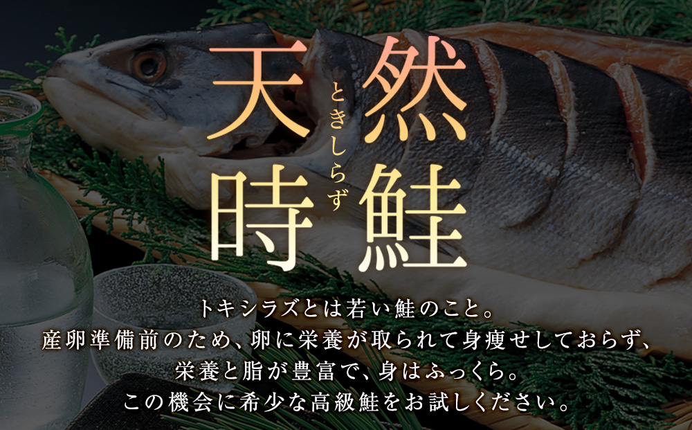 白老町産 時鮭 トキシラズ 500g×2(計1kg) 真空パック〈斉藤水産〉