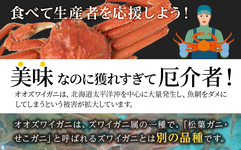 大ズワイガニ姿600ｇ～750ｇ×2尾＜超特大＞AM189