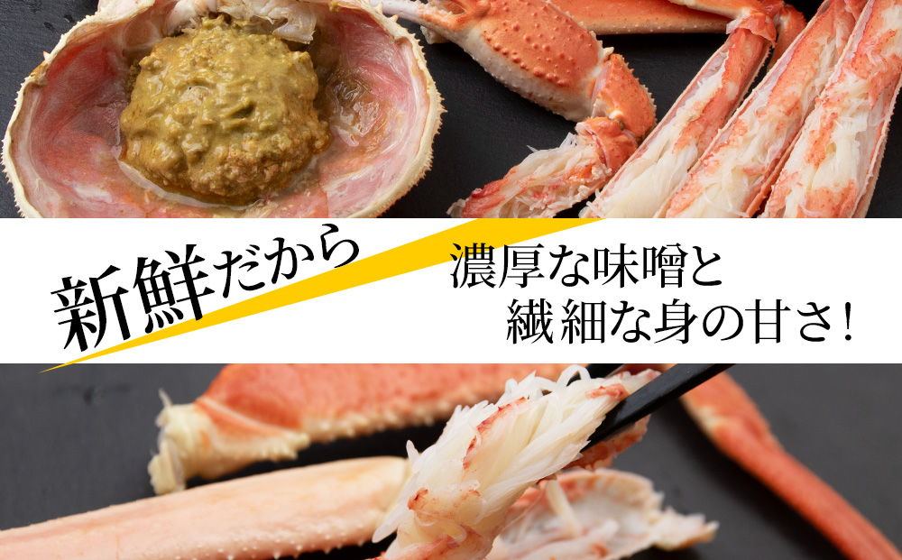 【7営業日以内発送】訳あり オオズワイガニオス 特大サイズ (約400-700g) 浜ゆで 2kg (3尾入)AS225