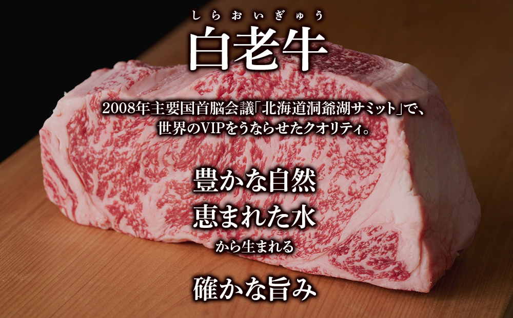 カレー レトルト 白老牛カレー 180ｇ×2箱 北海道 国産 和牛 ビーフカレー