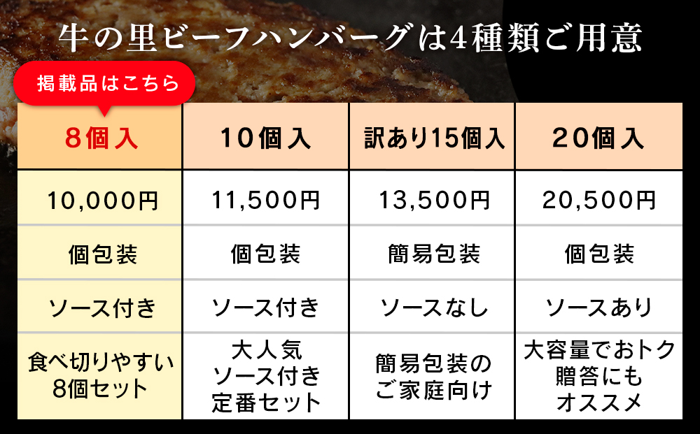【12月20日決済確定分まで年内発送】牛の里ビーフハンバーグ（110g×8個）特製ソース（8袋）の詰合せ AG050