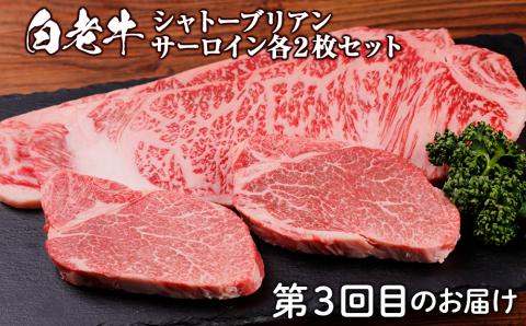 定期便 頒布会 全3回 お楽しみ 白老牛 ハンバーグ 焼肉 ステーキ ウエムラ牧場