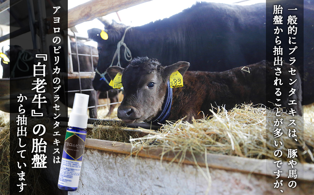 【12月20日決済確定分まで年内発送】北海道白老産 生プラセンタ美容液＆北海道産 サプリメント ～アヨロのピリカ・アンケシ～