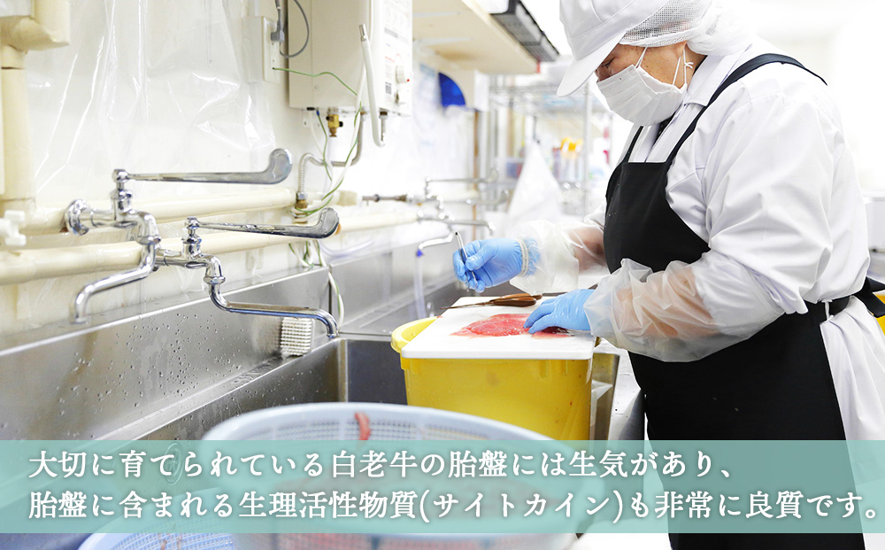 【定期便・全3回】北海道白老産 生プラセンタ美容液 ～アヨロのピリカ～