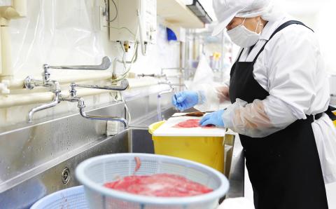 【定期便・全3回】北海道産 生プラセンタサプリメント ～アンケシ～