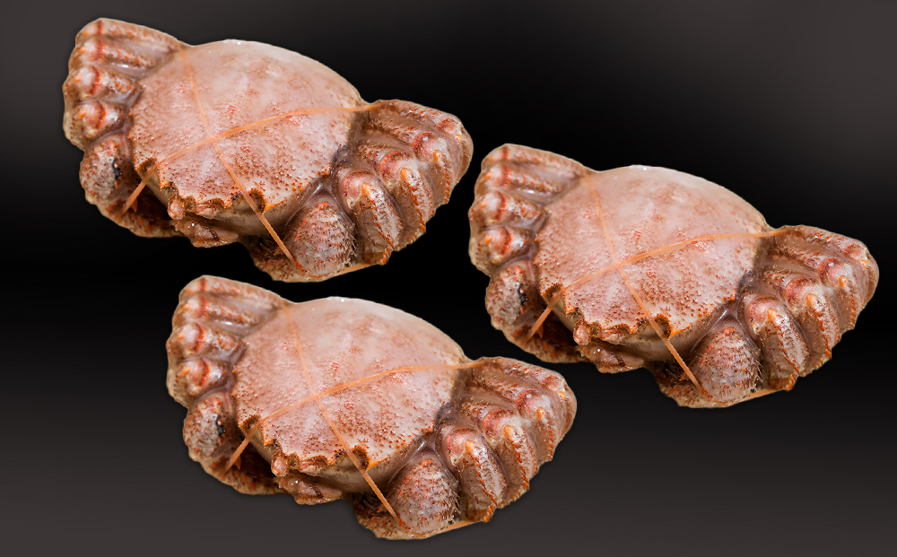 【12月20日決済確定分まで年内発送】【大サイズ】北海道産 冷凍ボイル毛ガニ (600g-660g前後) 3尾 AS173