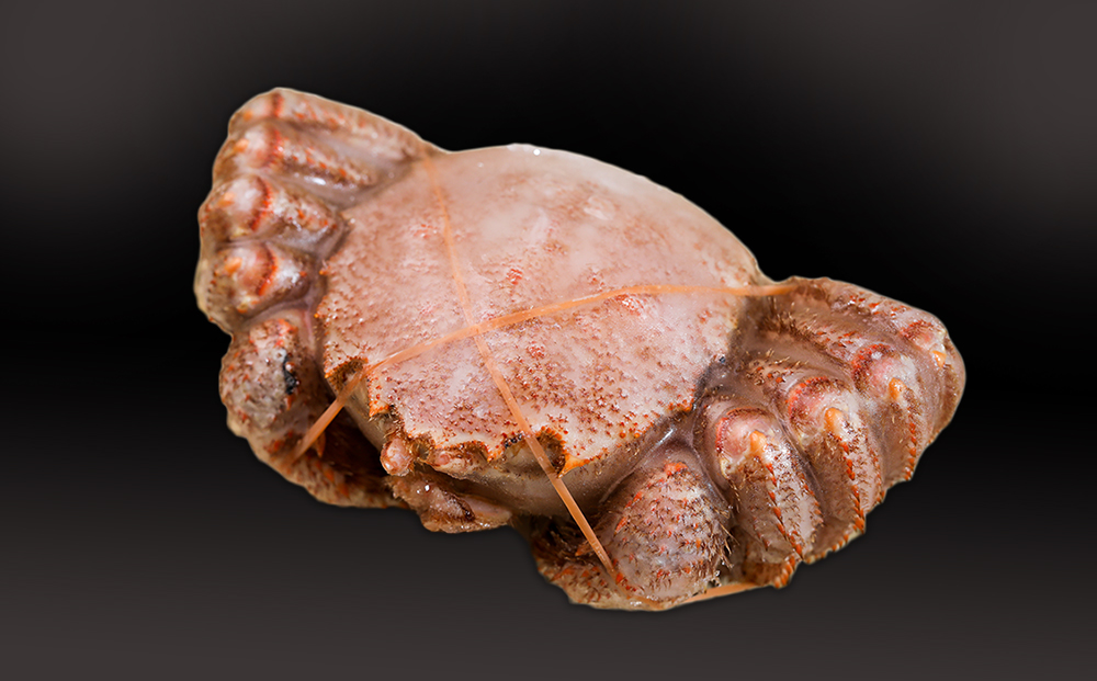 【12月20日決済確定分まで年内発送】【中サイズ】北海道産 冷凍ボイル毛ガニ (540g-580g前後) 1尾 AS183