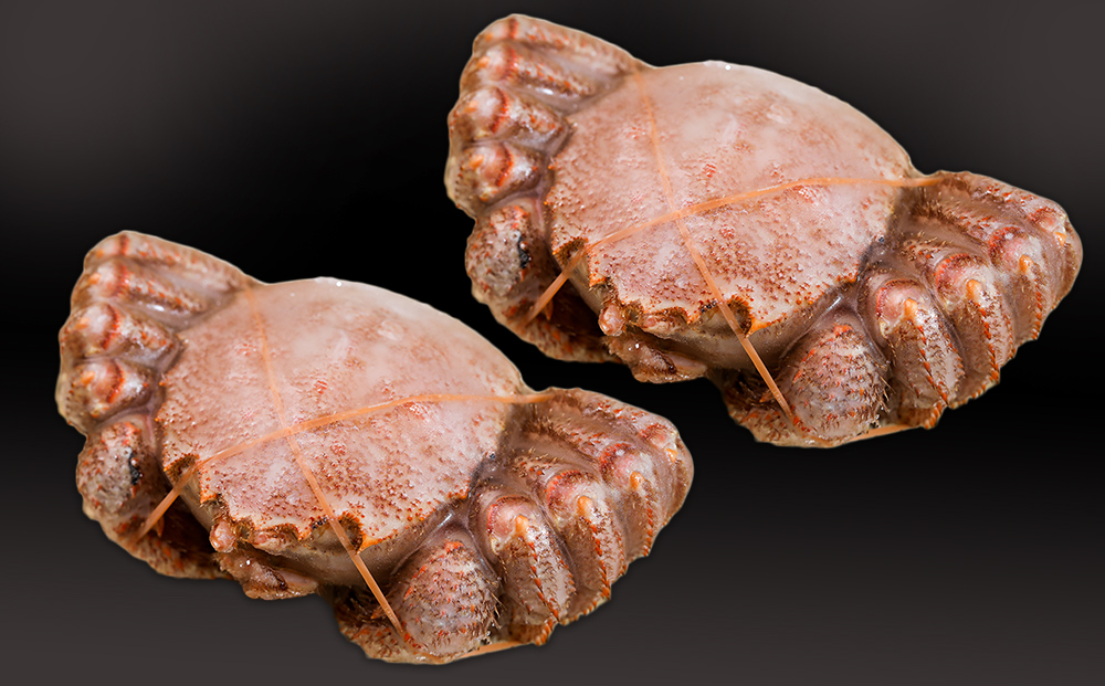 【12月20日決済確定分まで年内発送】【中サイズ】北海道産 冷凍ボイル毛ガニ (540g-580g前後) 2尾 AS184