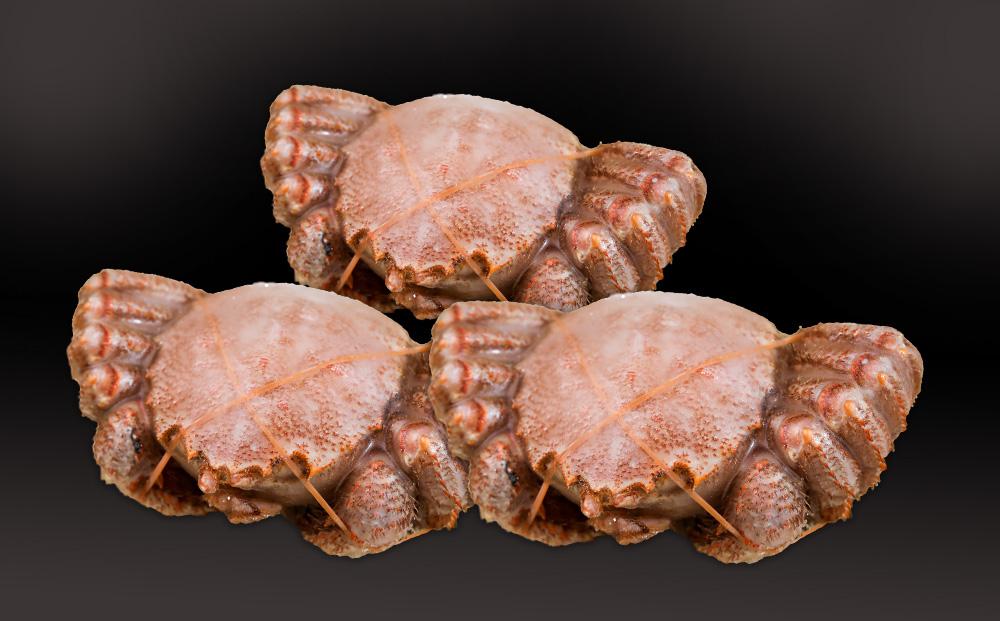 【大サイズ】北海道産 冷凍ボイル毛ガニ (700g-800g前後) 3尾 AS194