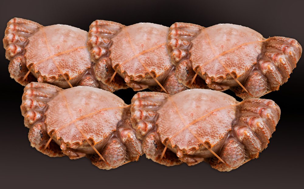 【大サイズ】北海道産 冷凍ボイル毛ガニ (700g-800g前後) 5尾 AS195