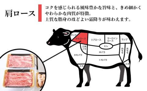 【12月20日決済確定分まで年内発送】白老和牛 敷島鍋セット《敷島ファーム》