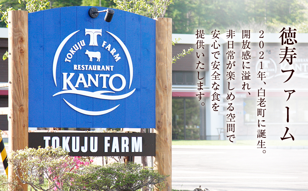 白老牛 厳選 ステーキ 3種セット 合計600ｇ（各200ｇ） 特製ソース付き 和牛 ＜徳寿＞