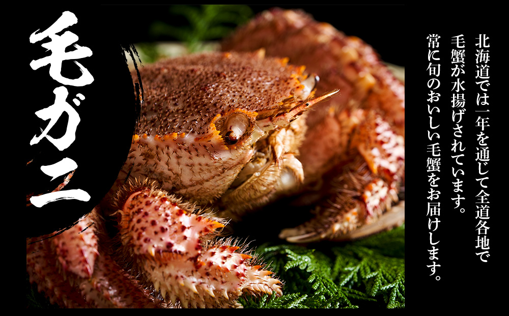 訳あり タラバ脚 ＆ ズワイ姿 ＆ 毛蟹 【合計2.4㎏】 食べ比べ セット BM330